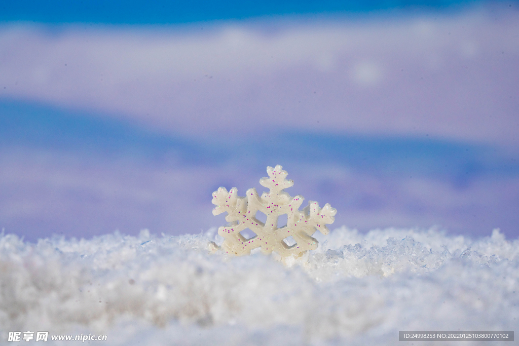 冬天雪花花瓣