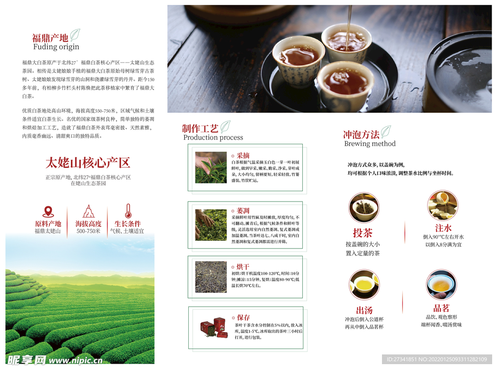 茶叶折页