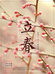 立春海报