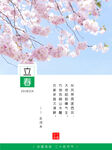 立春海报