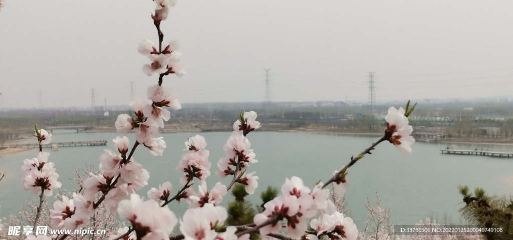 春暖花开