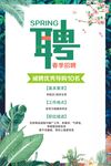 春季招聘海报