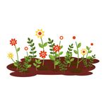 花