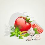 精美蔬菜插画矢量素材