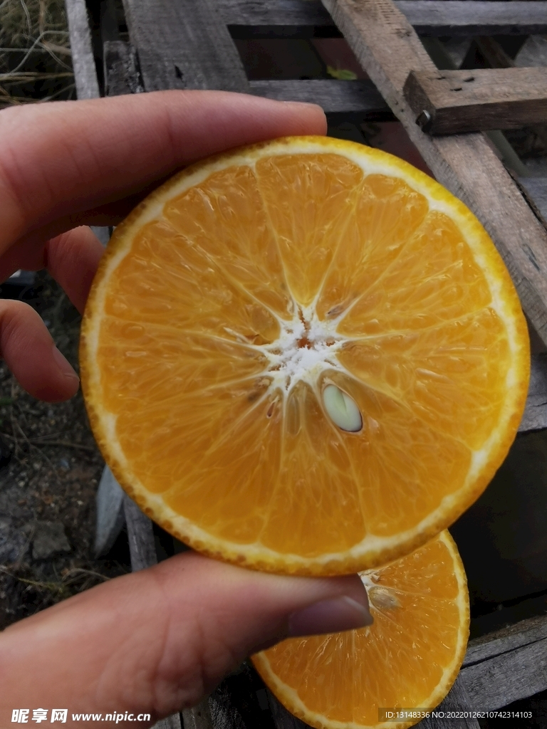 皇帝柑