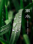 雨水 二十四节气