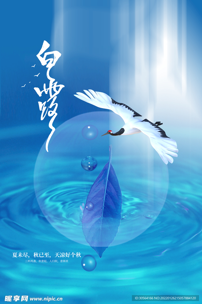 白露