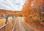 秋天的小路美景摄影