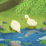 春天池塘的鸭子插画