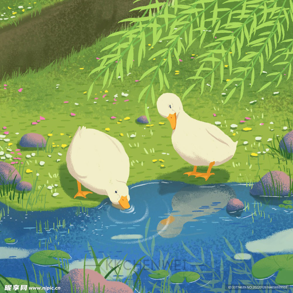 春天池塘的鸭子插画