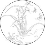 兰花