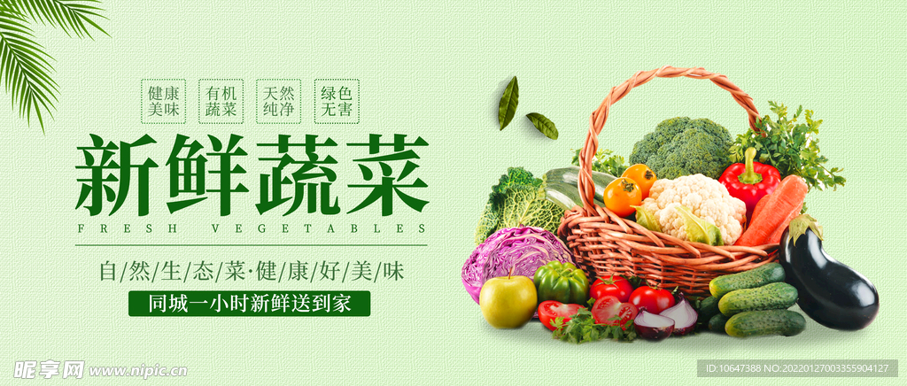 新鲜蔬菜