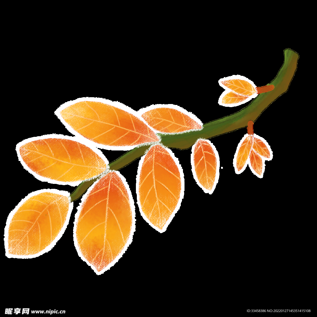 手绘霜降红叶结霜插画