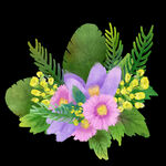 原创水彩手绘紫色粉色花草植物
