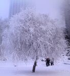 雪