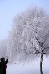 雪