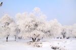雪