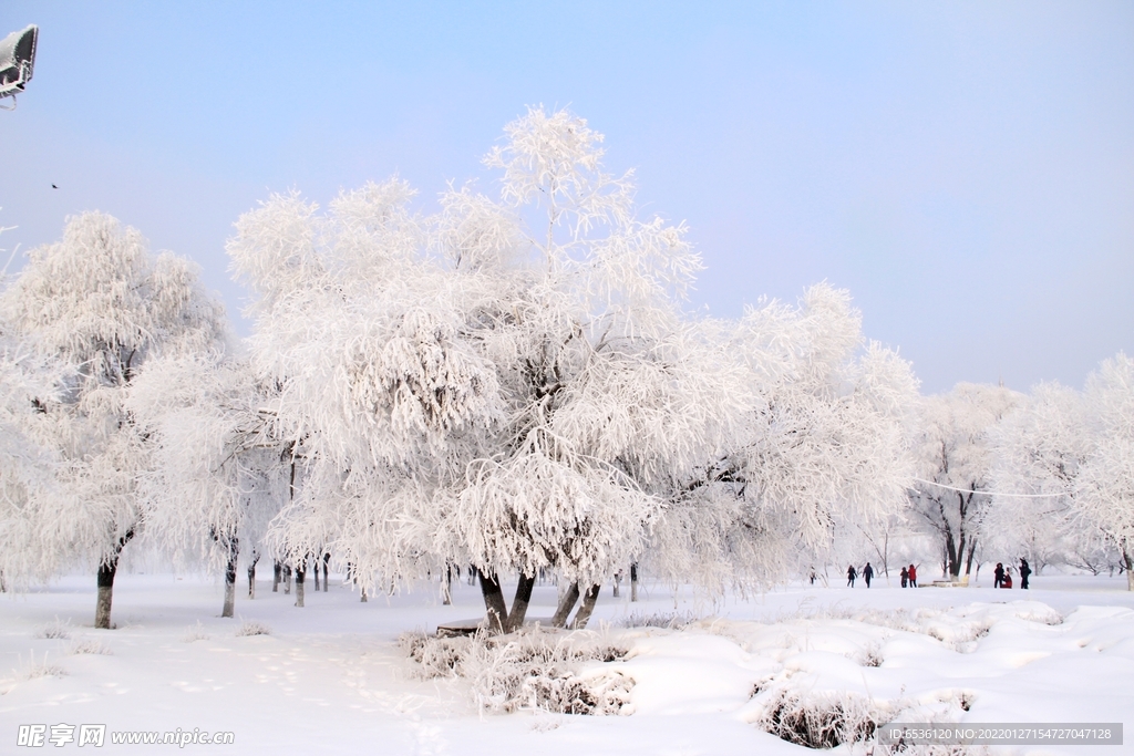 雪