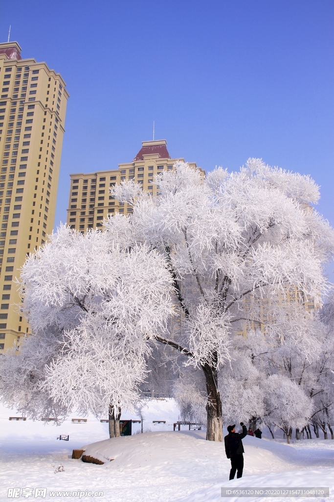 雪