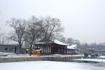 雪景