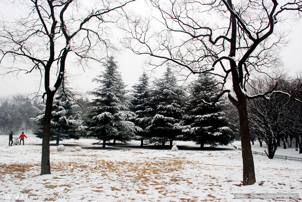 雪景