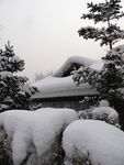 雪