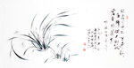 兰花