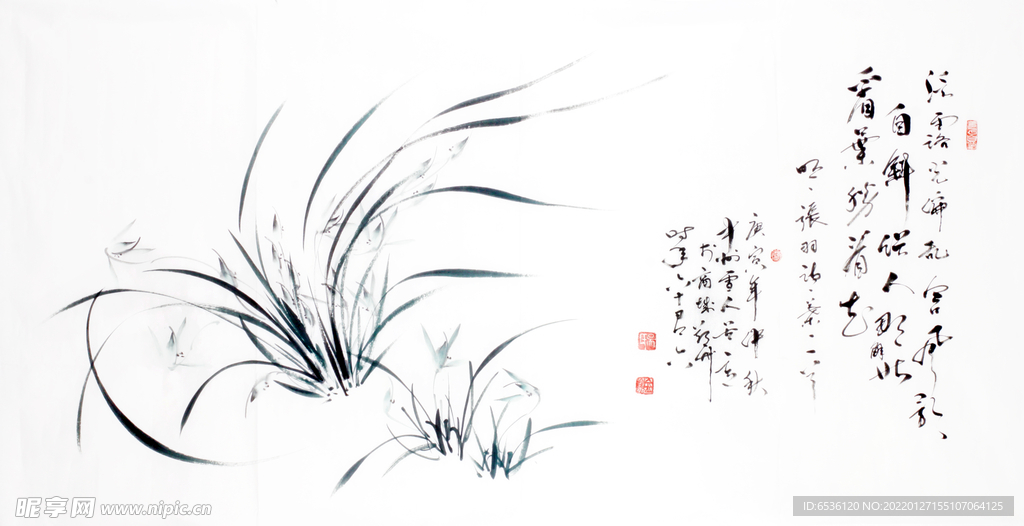 兰花