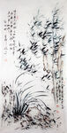 兰花