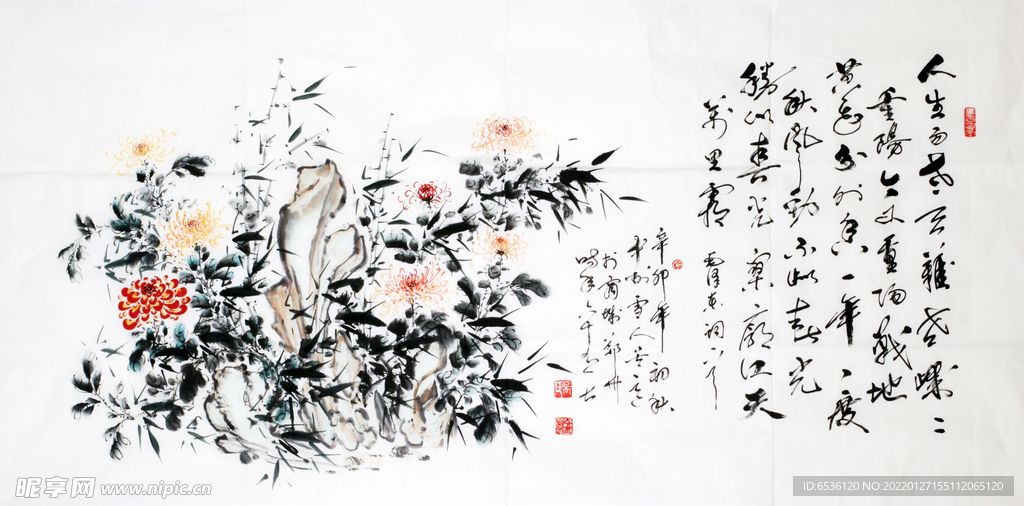 花鸟