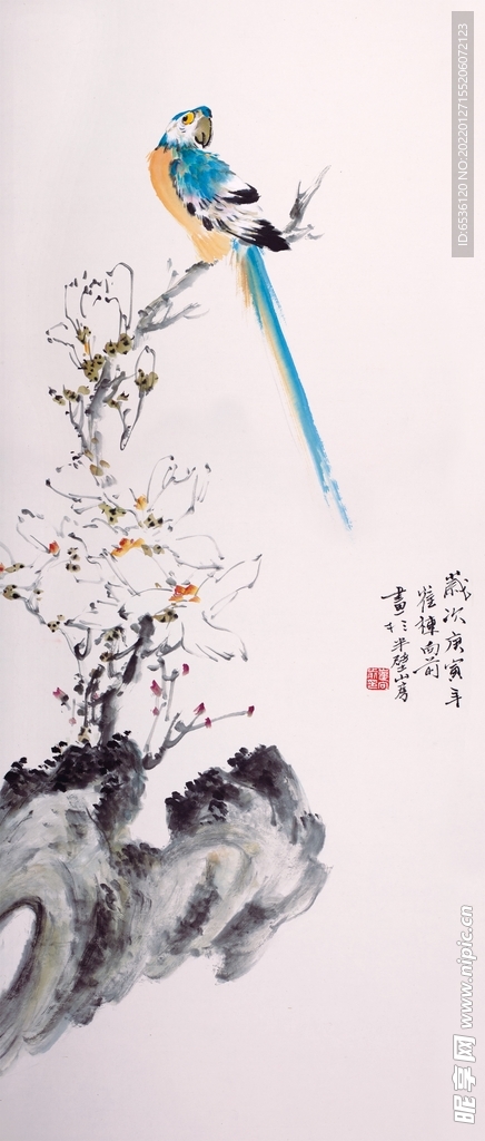 花鸟