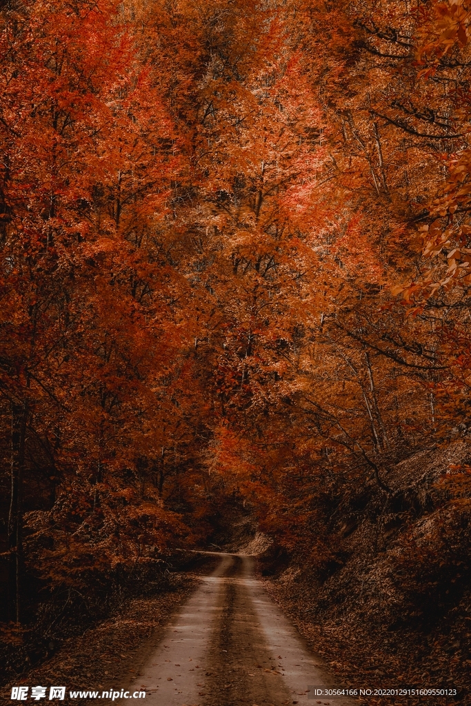 秋季山林自然景观背景素材