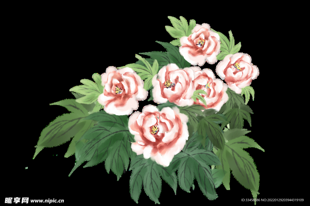 手绘水墨牡丹花开插画