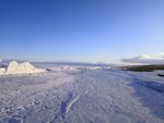 雪原