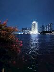白天鹅宾馆