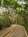 林间小道