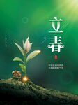 立春