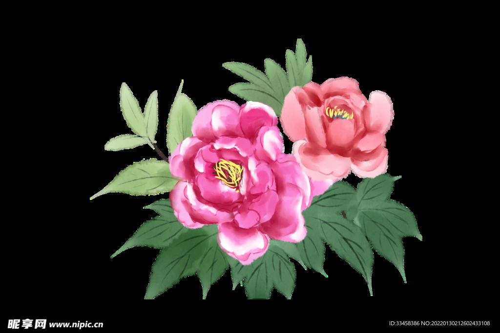 国画水墨唯美牡丹花开插画