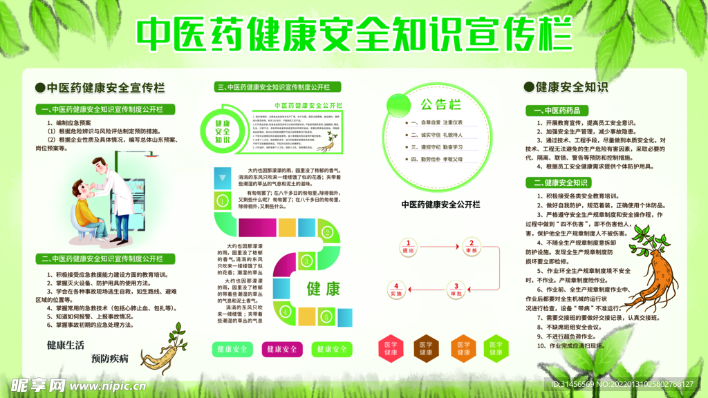 中医药健康安全知识宣传栏