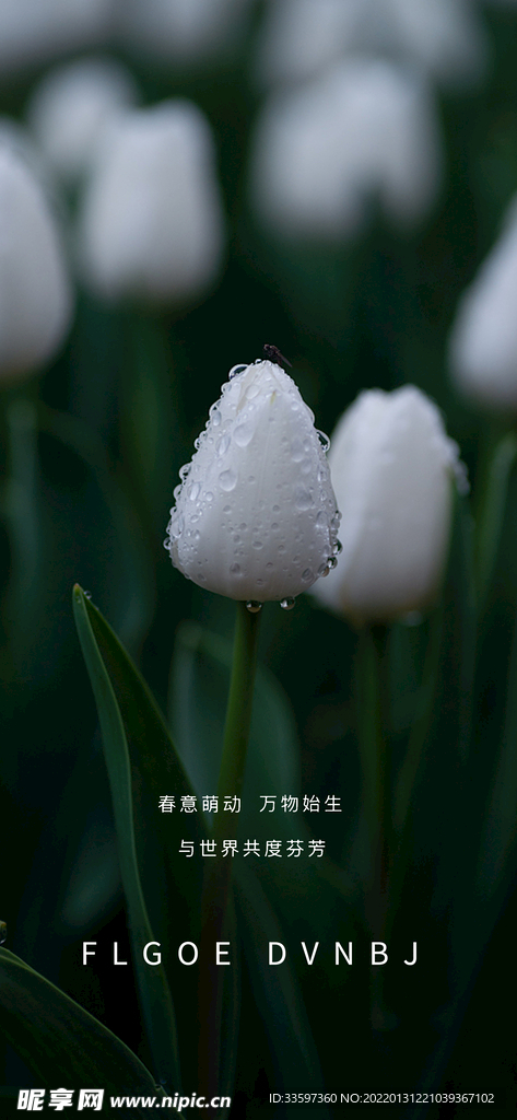 立春