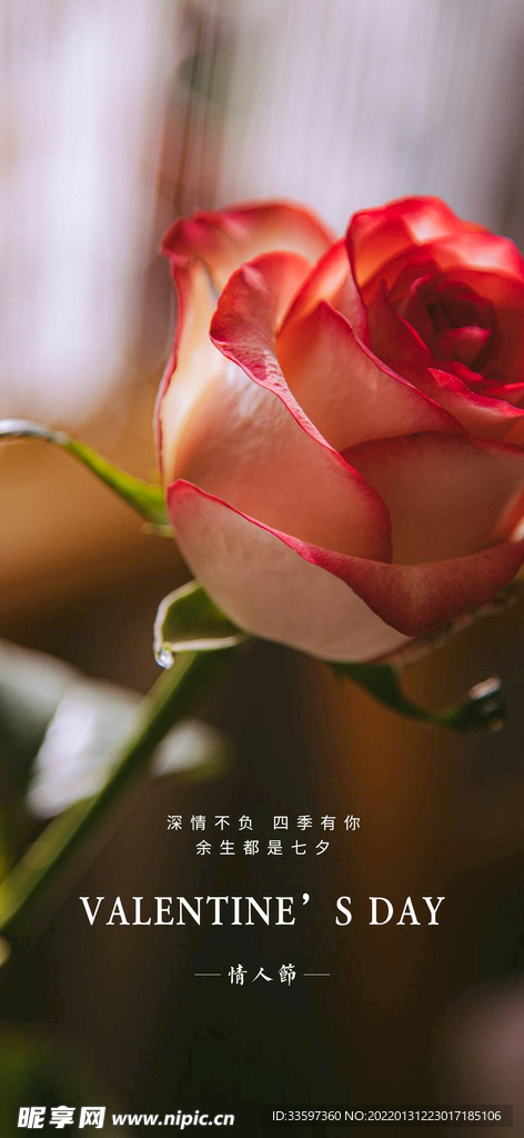 情人节