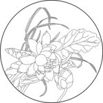 莲花