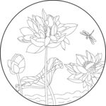 莲花与蜻蜓