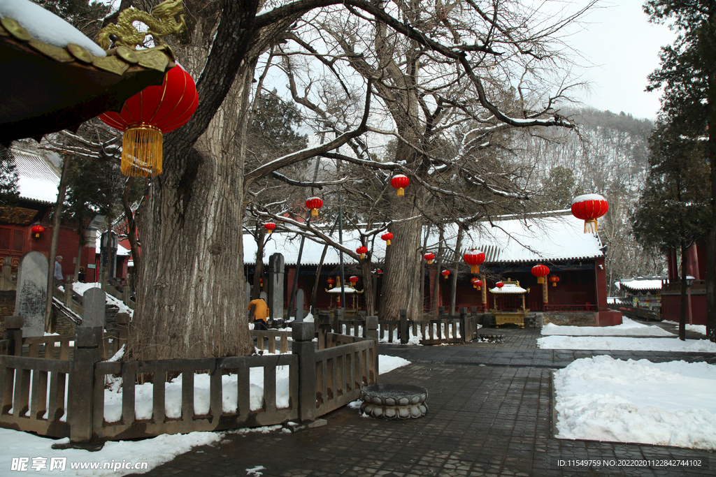 法王寺内景