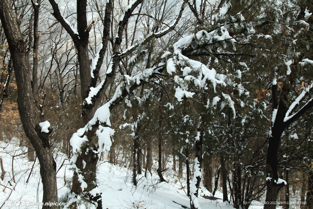 嵩山雪景