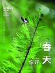 立春             