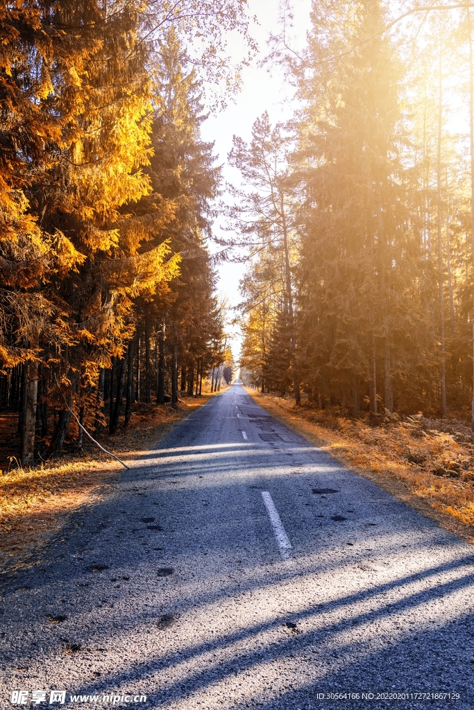 户外道路