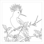 花鸟