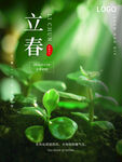 立春             