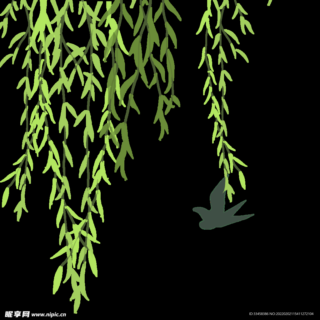柳树绿色柳条